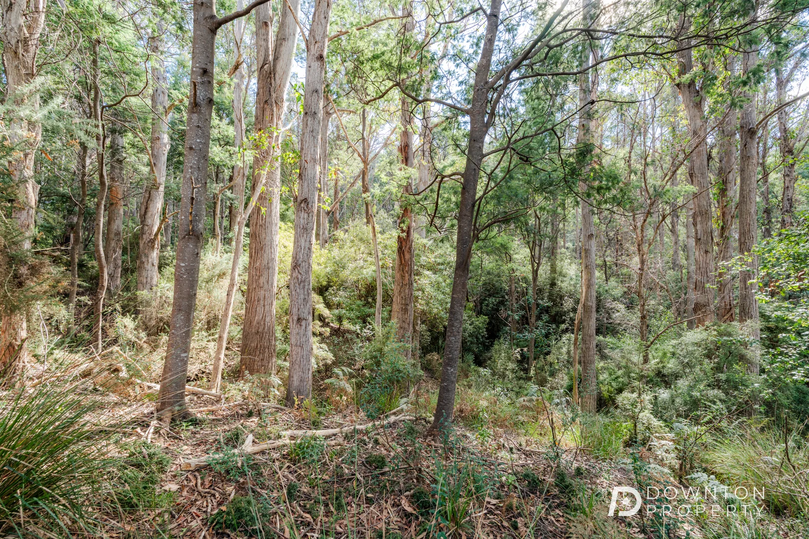 Additional image 23 of 35 Old Farm Road, South Hobart TAS 7004
