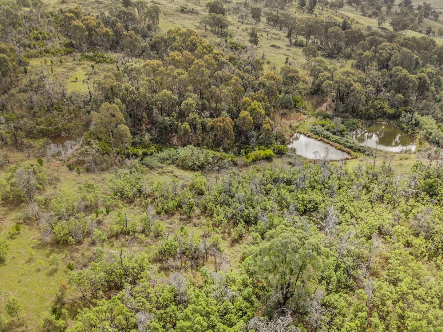 Additional image 8 of 755 Old Tumbarumba road, Batlow NSW 2730