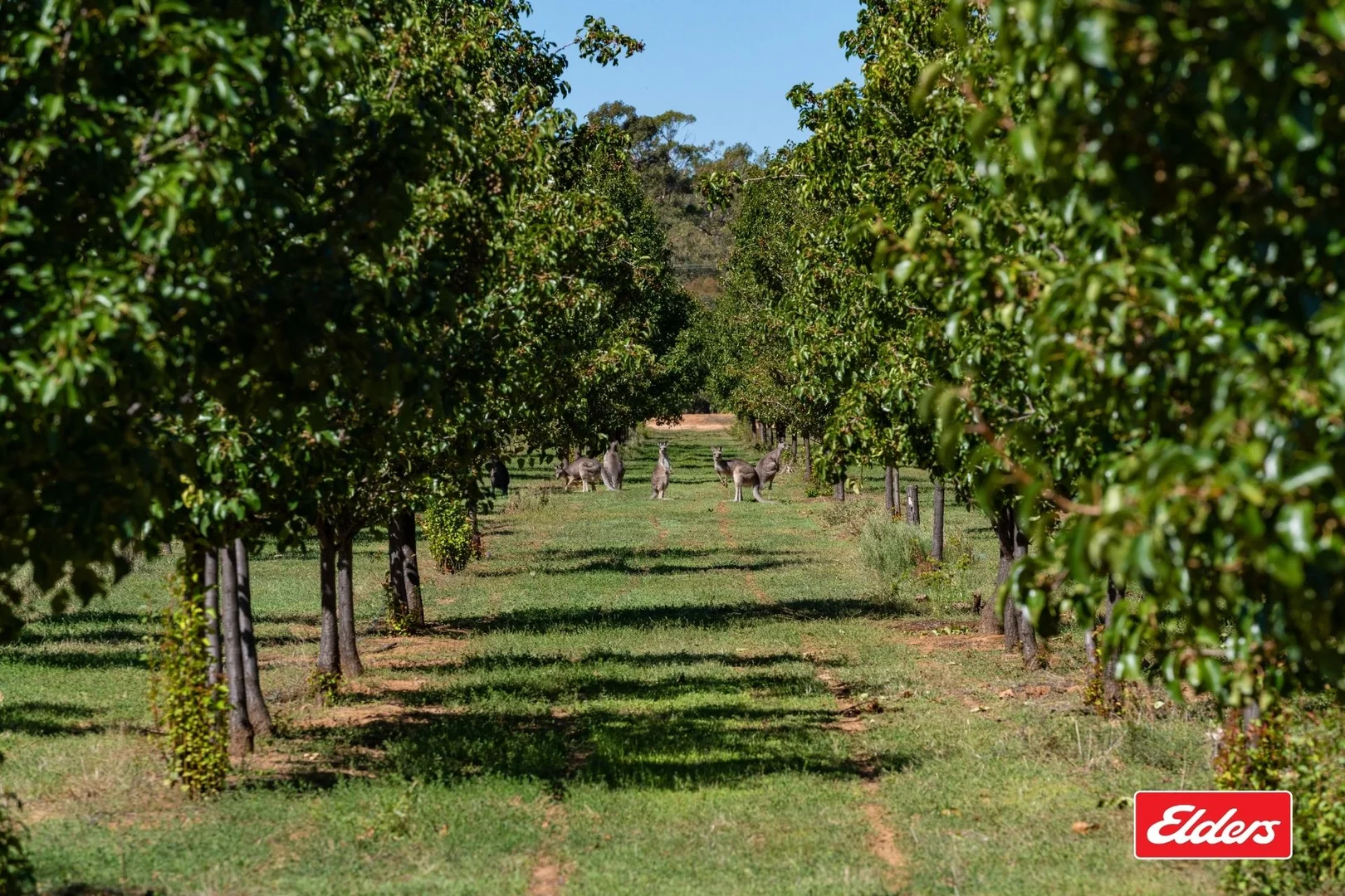Additional image 27 of 124 Farley Road, Echuca VIC 3564