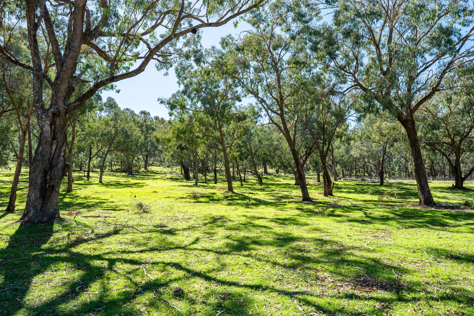 Additional image 8 of 191 Ferndale Road, Woomargama NSW 2644