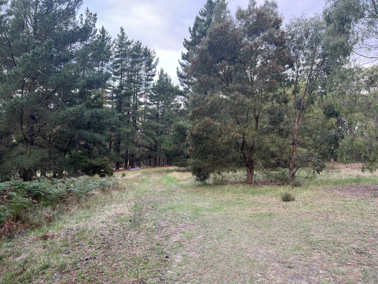 Additional image 5 of Lot 2 Forbes Road, Macedon VIC 3440