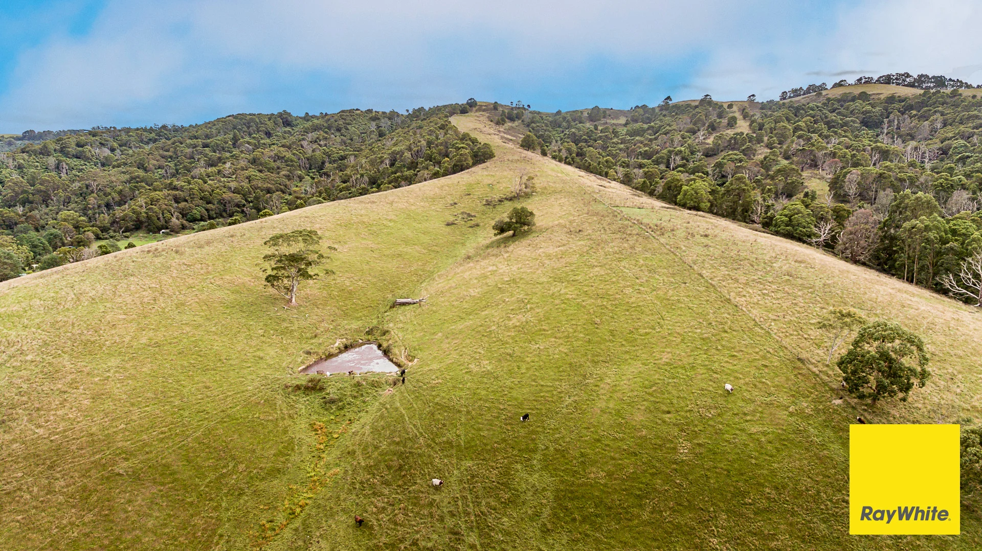 Additional image 3 of . Lamont Drive, Toora VIC 3962