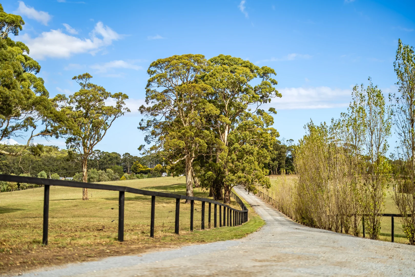 Additional image 88 of 444 Hawthorn Road, Echunga SA 5153