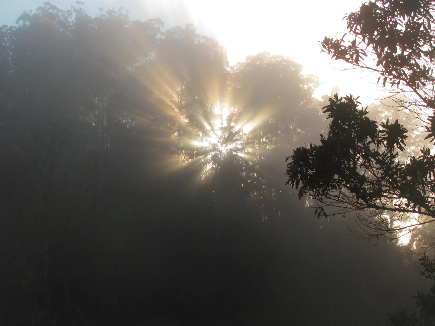 Additional image 15 of 'Sunrise' Darkwood Road, Bellingen NSW 2454
