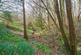Additional image 19 of Magreed Lane, Broad Oak, TN21