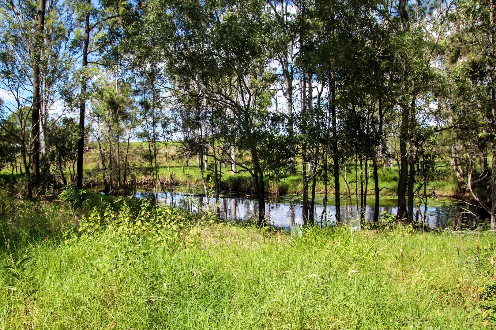 Additional image 11 of 457 Teddington Road, Tinana South QLD 4650