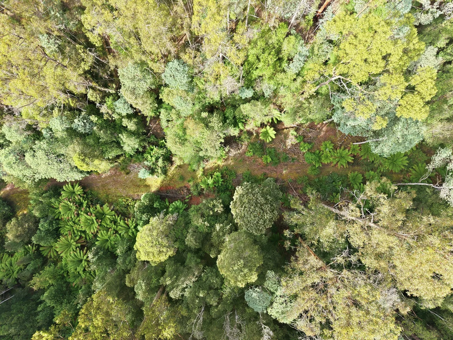Additional image 5 of 111 Underwoods Road, Nicholls Rivulet TAS 7112