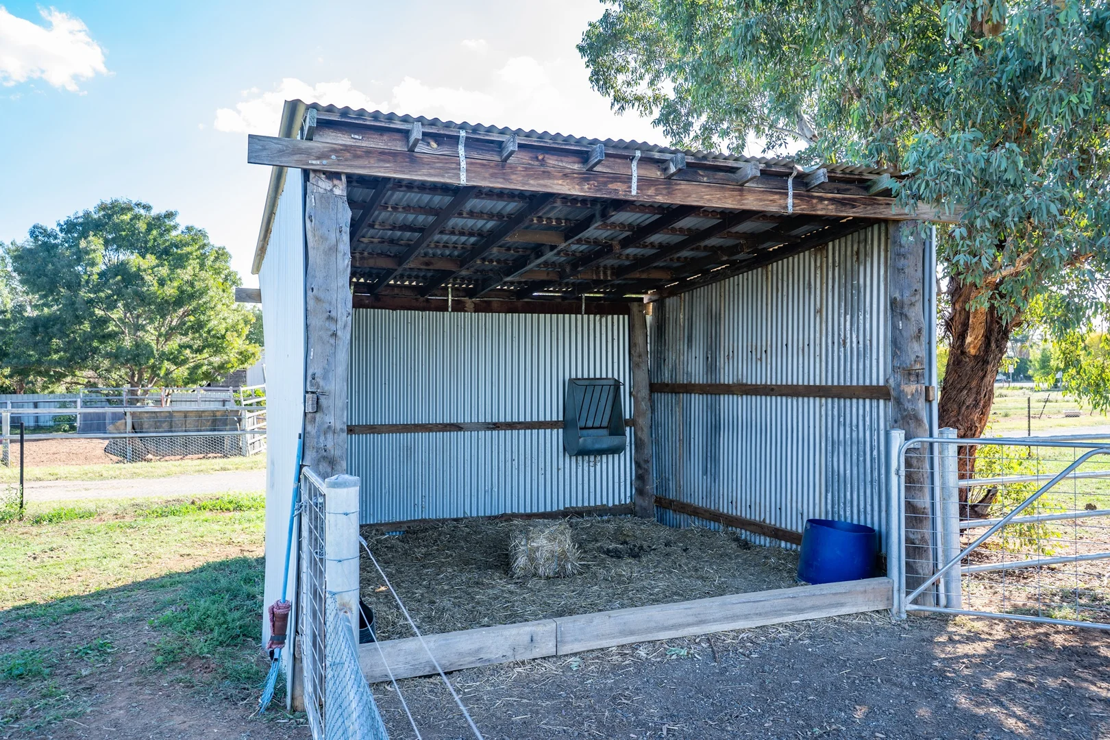 Additional image 17 of 4195 Belubula Way, Canowindra NSW 2804