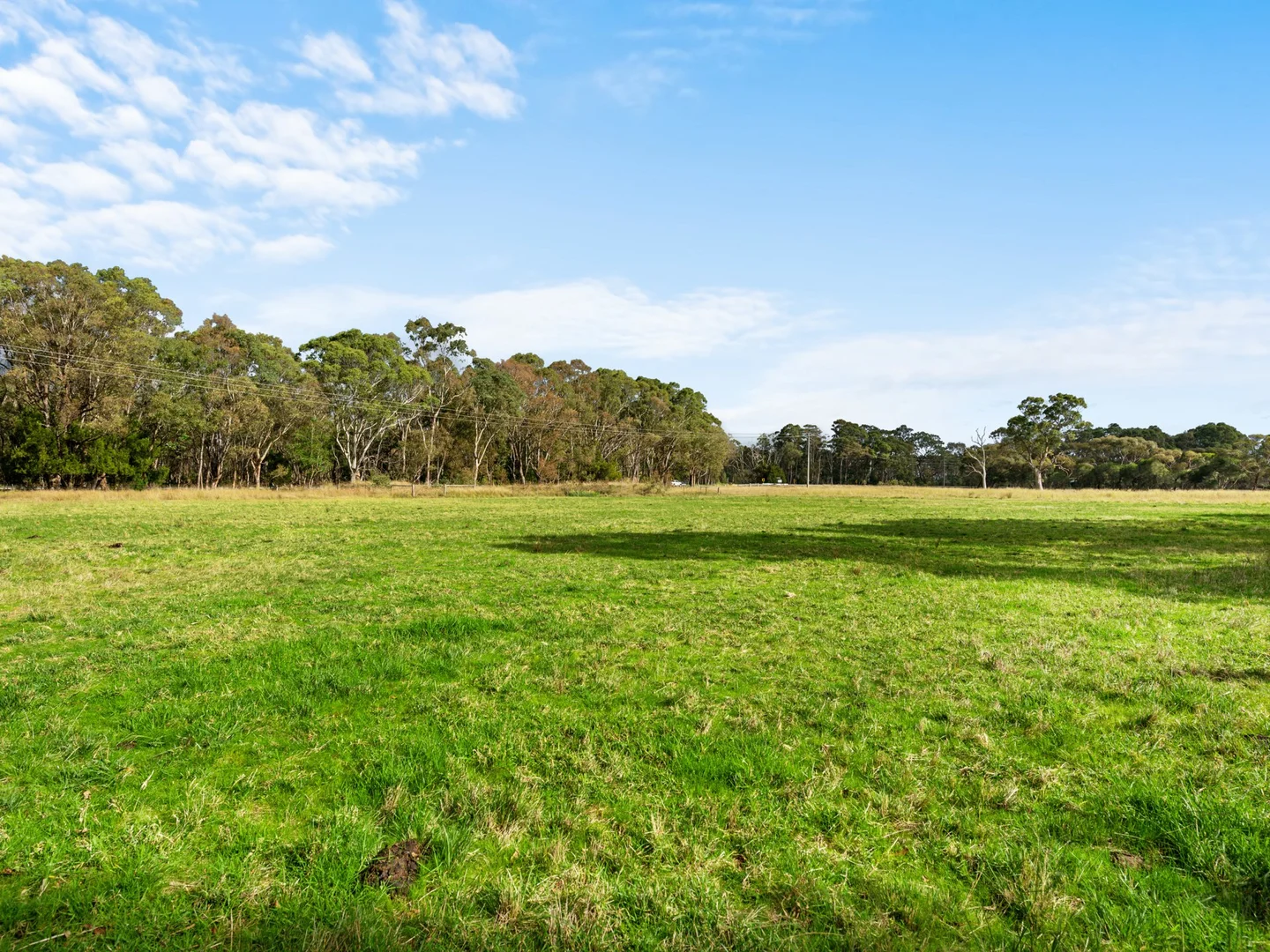 Additional image 19 of 885 Forge Creek Road, Forge Creek VIC 3875