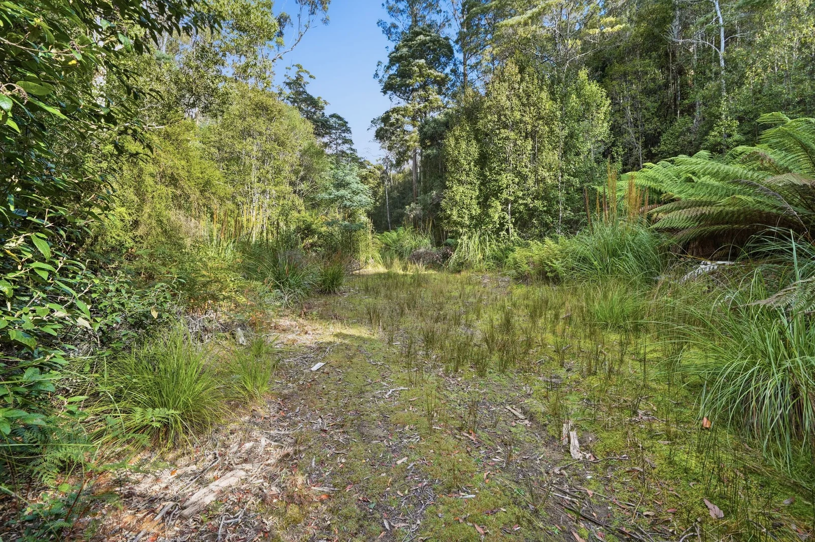 Additional image 4 of 111 Underwoods Road, Nicholls Rivulet TAS 7112