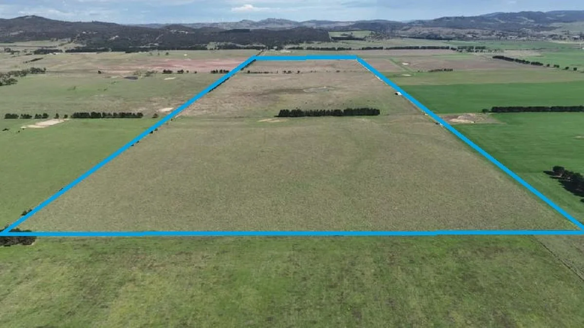 Additional image 14 of 1790 Braidwood Road, Tarago NSW 2580