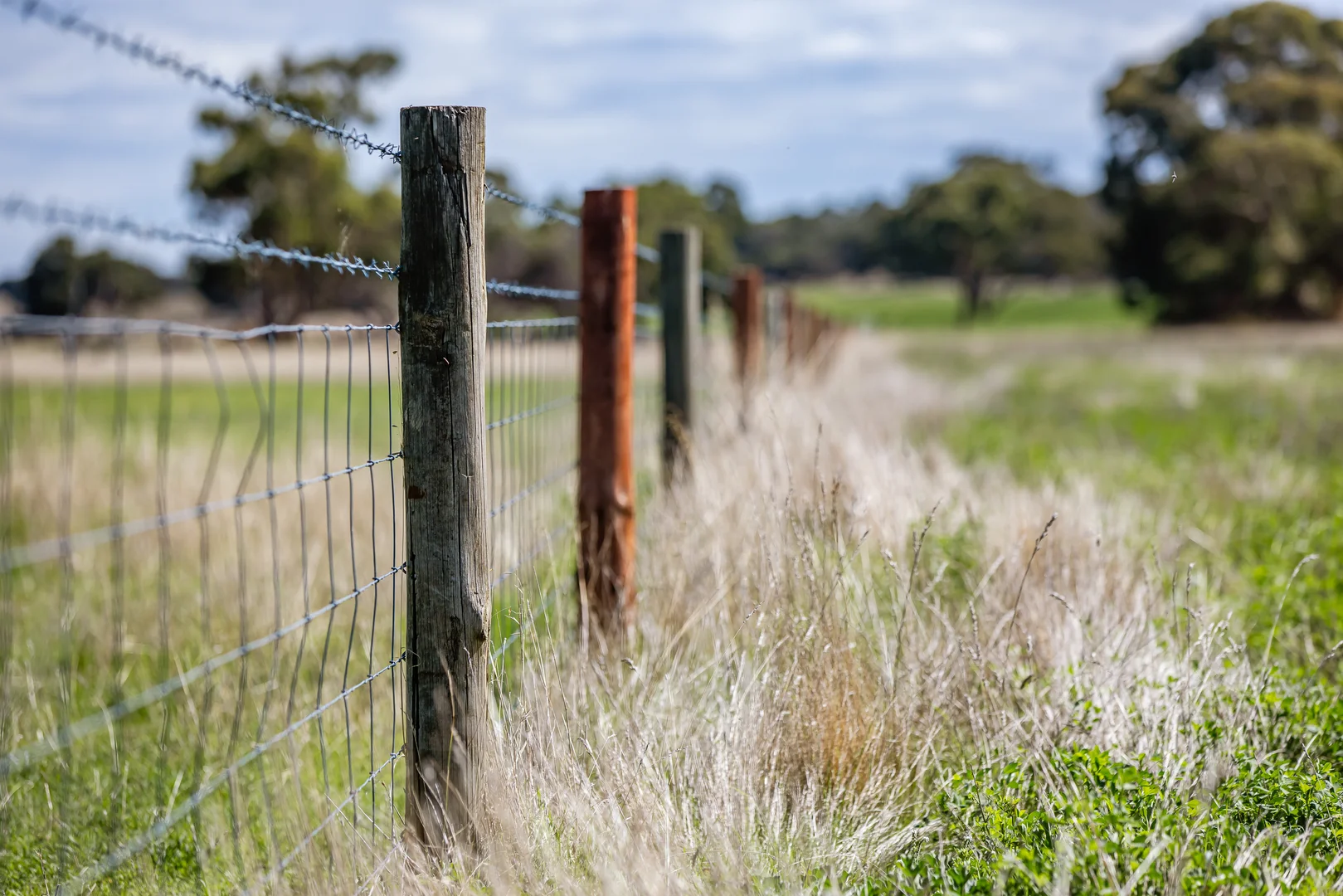 Additional image 17 of 1089 Pedericks Road, Lochaber SA 5271