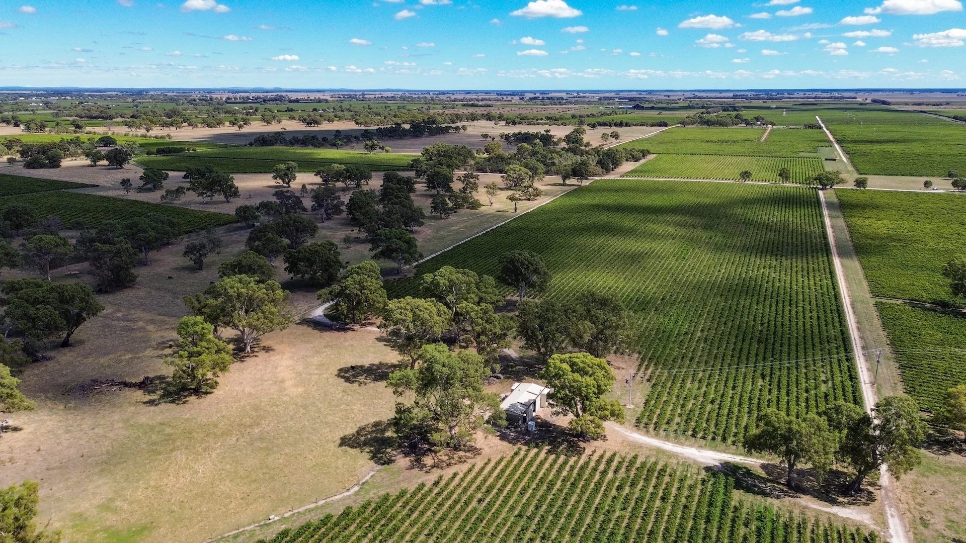 Additional image 11 of V&A Lane, Coonawarra SA 5263