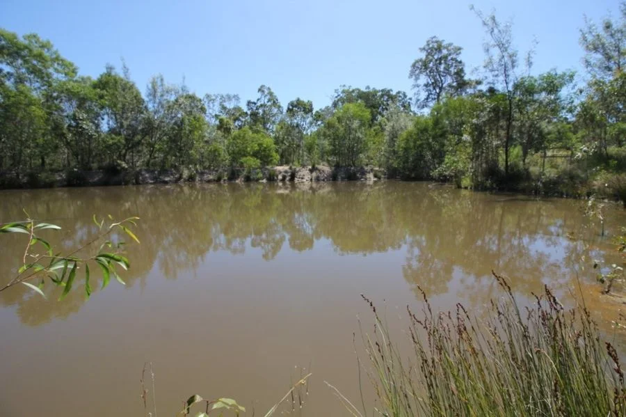 Additional image 31 of 538 Capricornia Drive, Deepwater QLD 4674