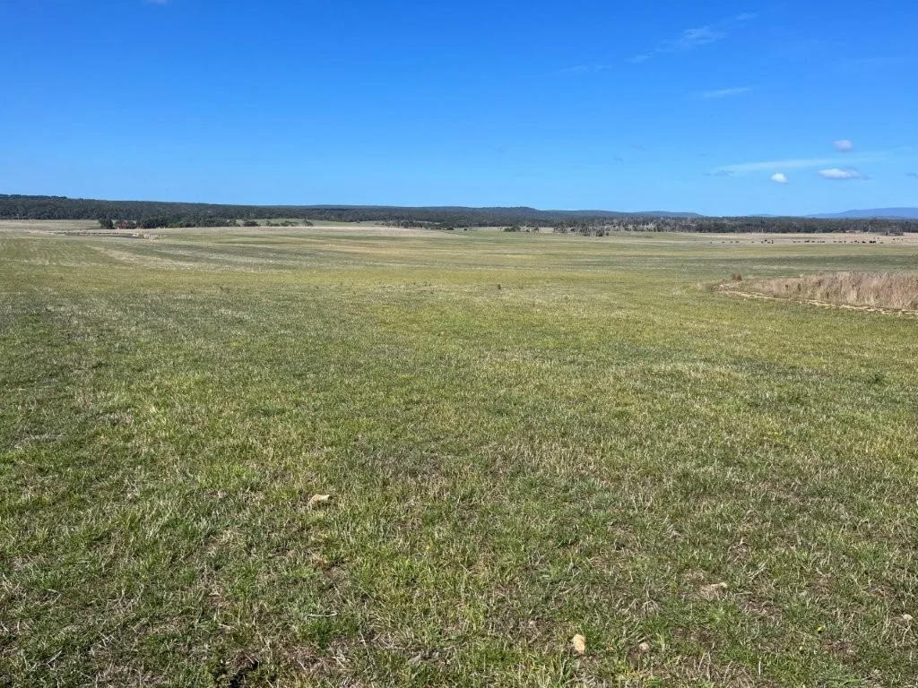 Additional image 3 of 559 North Ansons Road, Gladstone TAS 7264