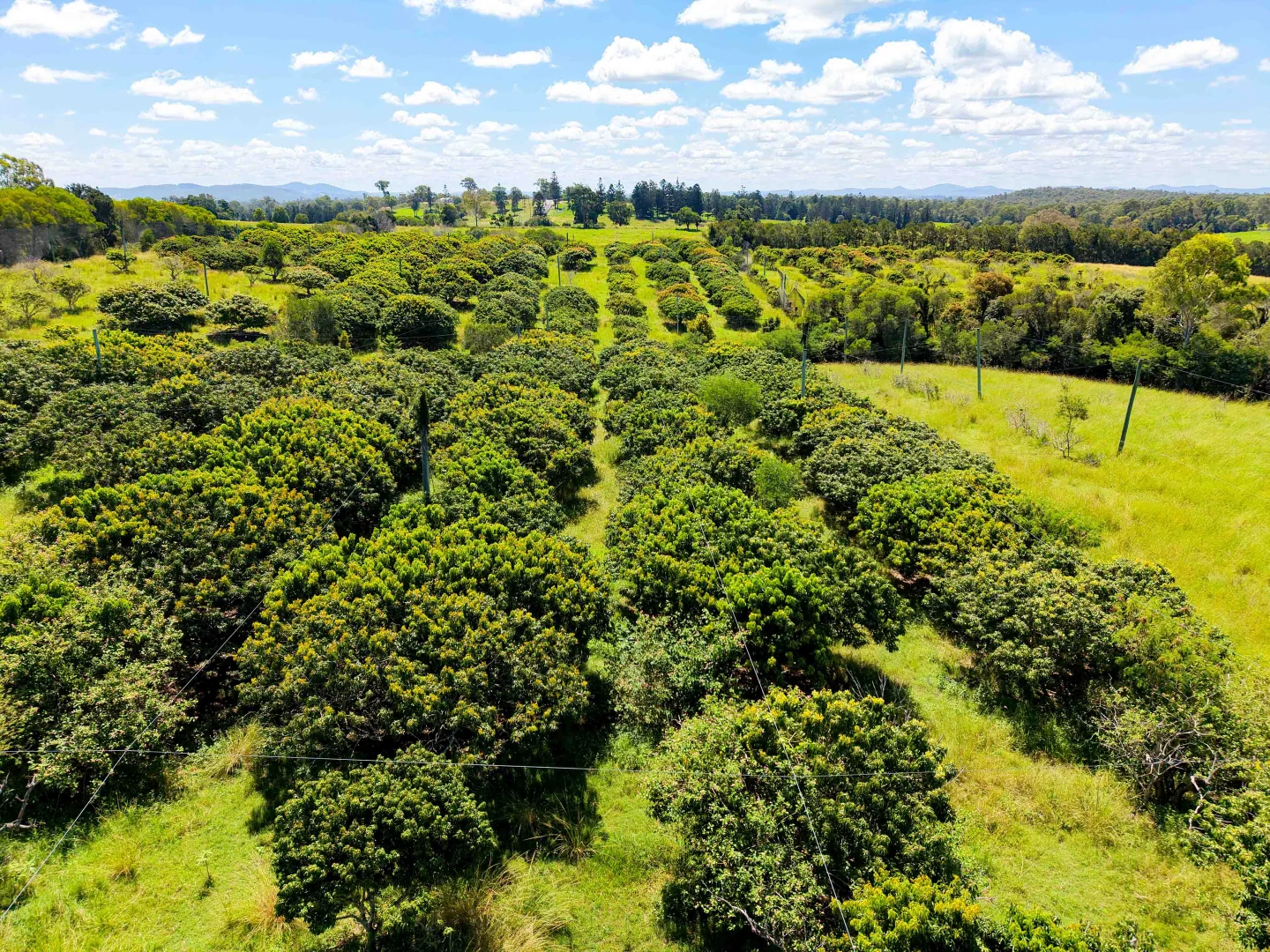 Additional image 21 of 408 Mcintosh Creek Road, McIntosh Creek QLD 4570