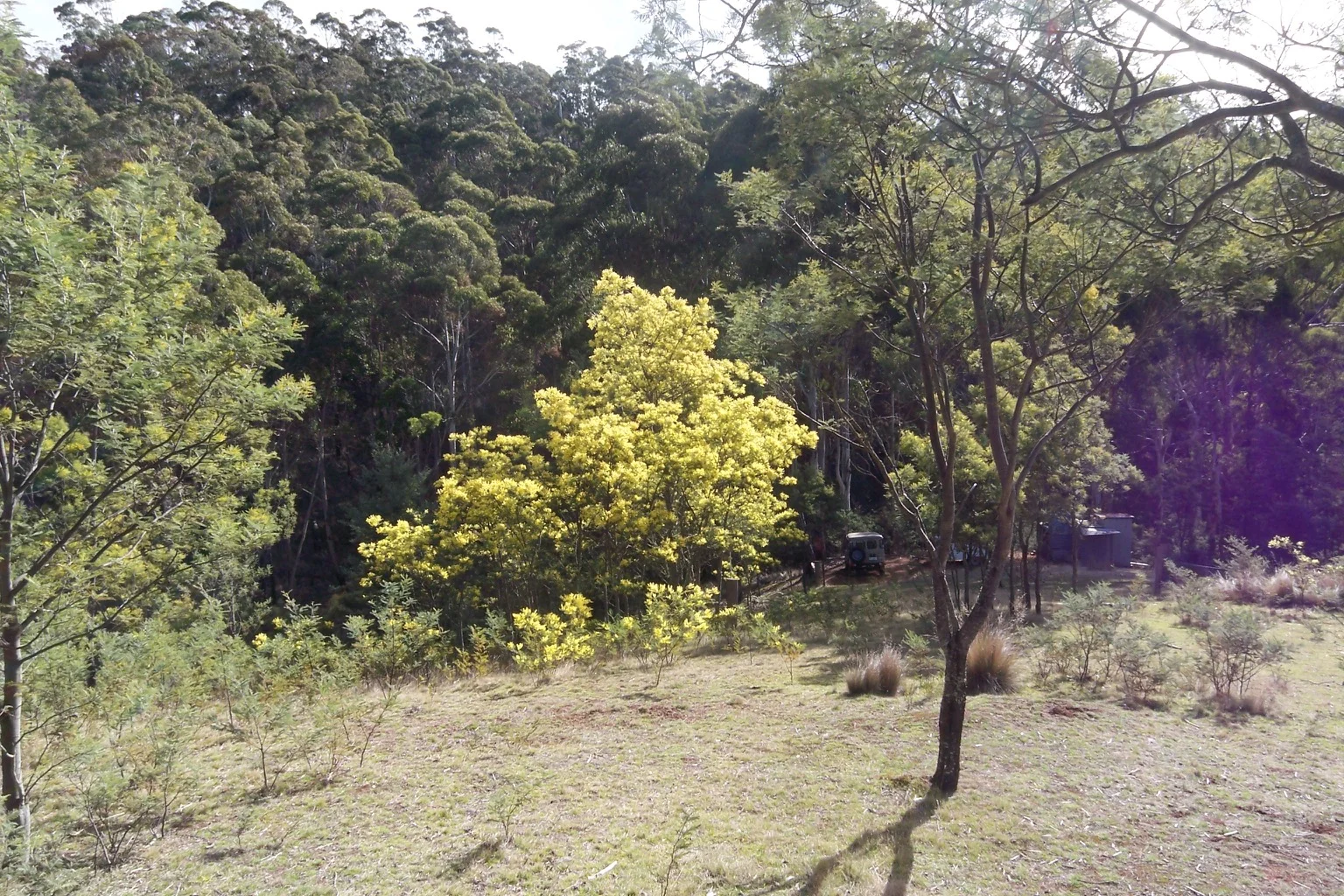 Additional image 9 of 420 Springhill Bottom Road, Colebrook TAS 7027