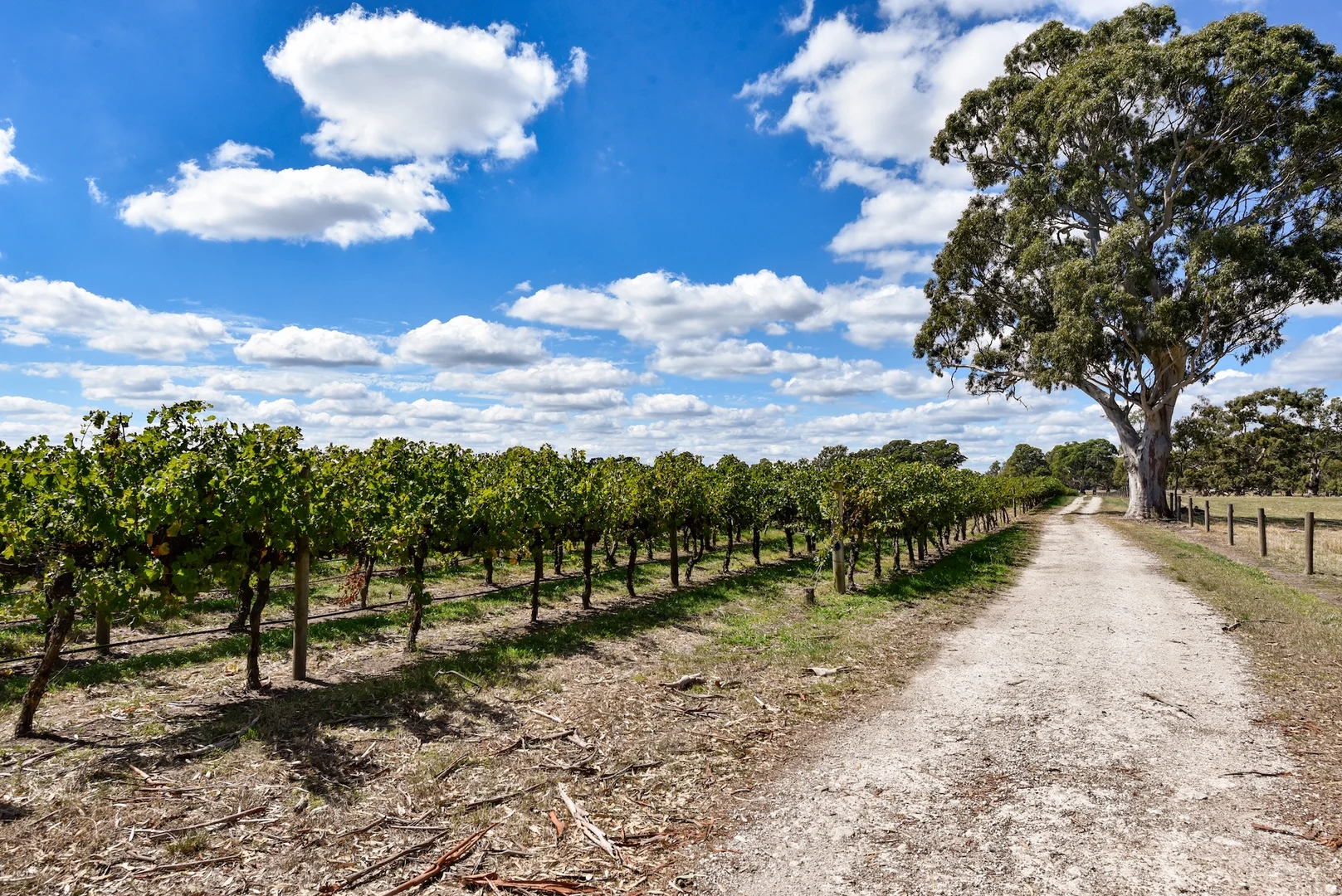 Additional image 24 of V&A Lane, Coonawarra SA 5263