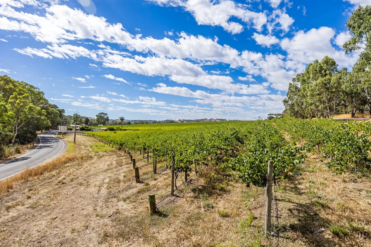 Additional image 6 of 49 Chapel Hill Road, Kangarilla SA 5157