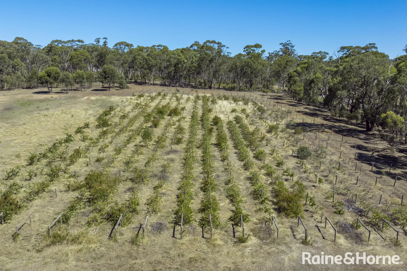 Additional image 3 of 1000 Northern Highway, Ladys Pass VIC 3523
