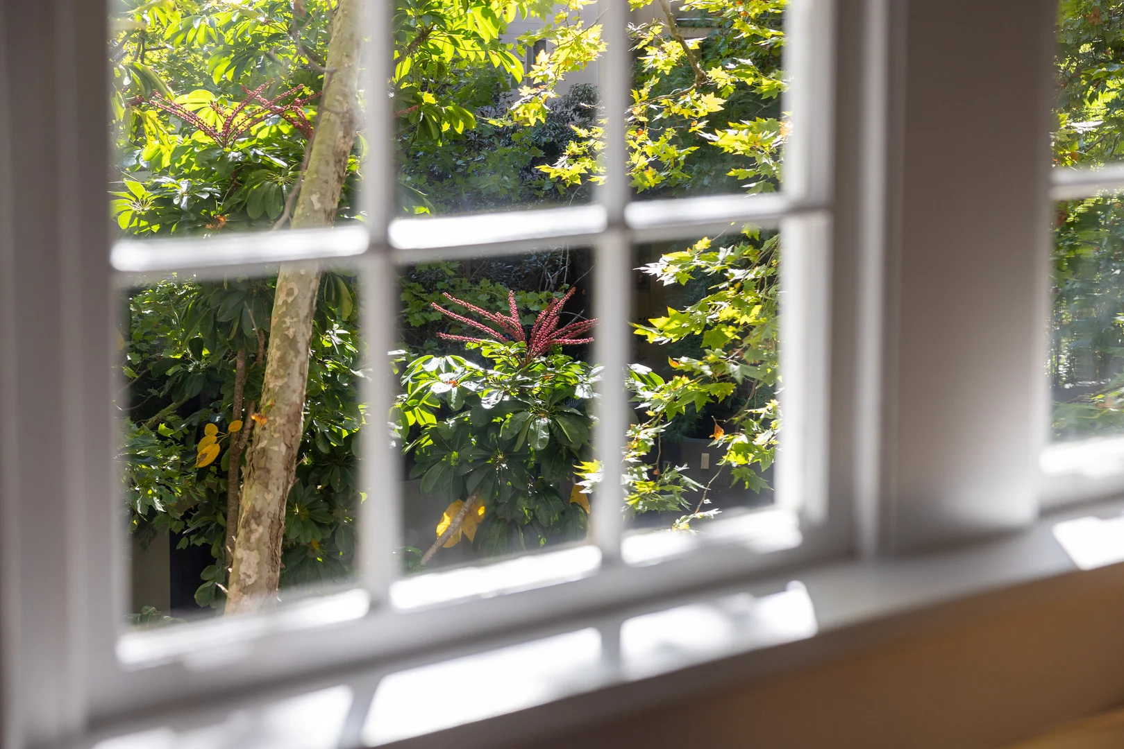 Additional image 5 of 9/2B Tusculum Street, Potts Point NSW 2011