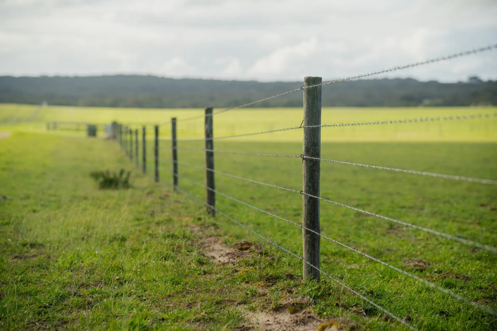 Additional image 10 of 565 Gordon Road, Meningie East SA 5264