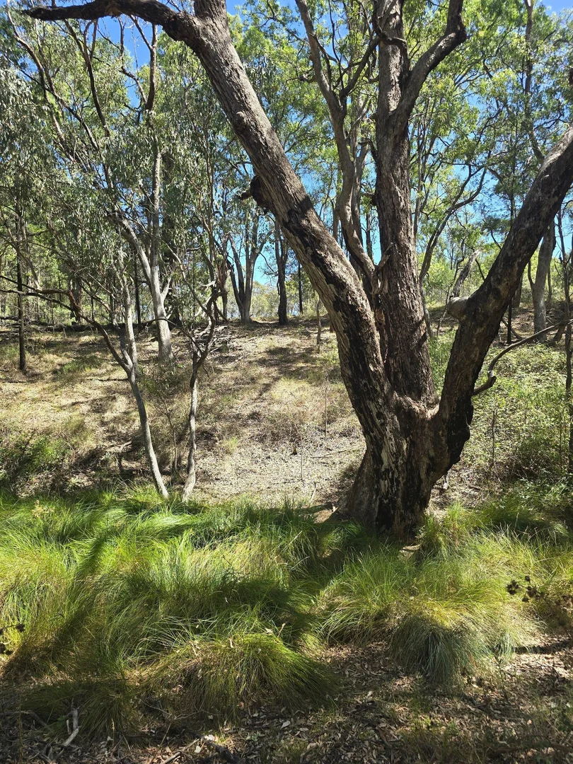 Additional image 35 of 6918 Warrumbungles Way, Coonabarabran NSW 2357