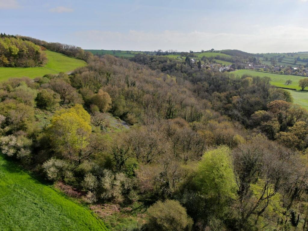 Near Wells, Somerset