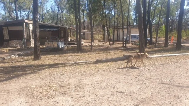 Additional image 7 of Tara QLD 4421