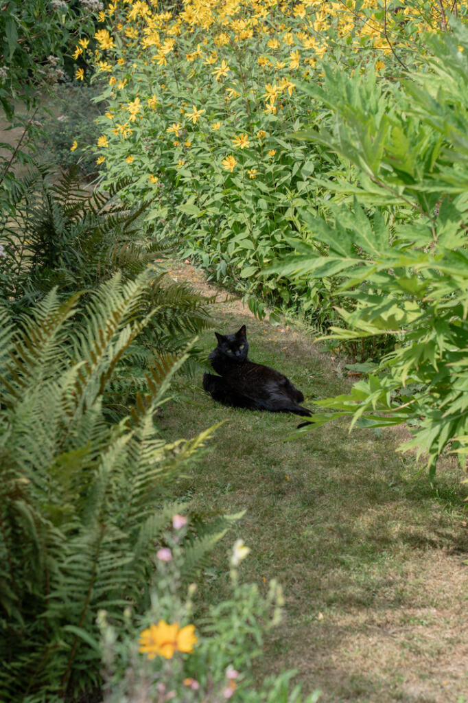 Additional image 36 of Grass Hill, Hardington Mandeville, Somerset