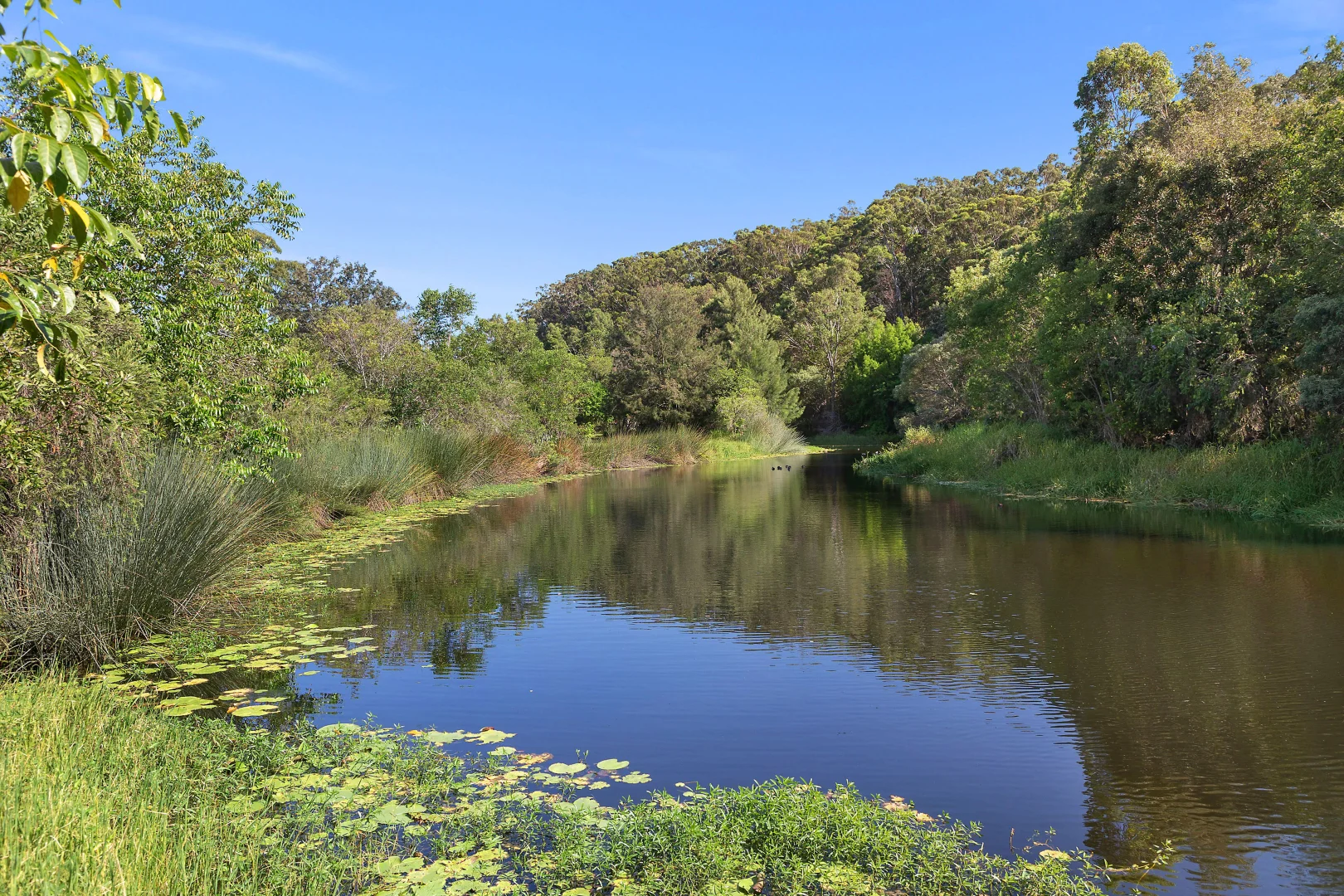 Additional image 12 of 22 Brampton Way, Meridan Plains QLD 4551