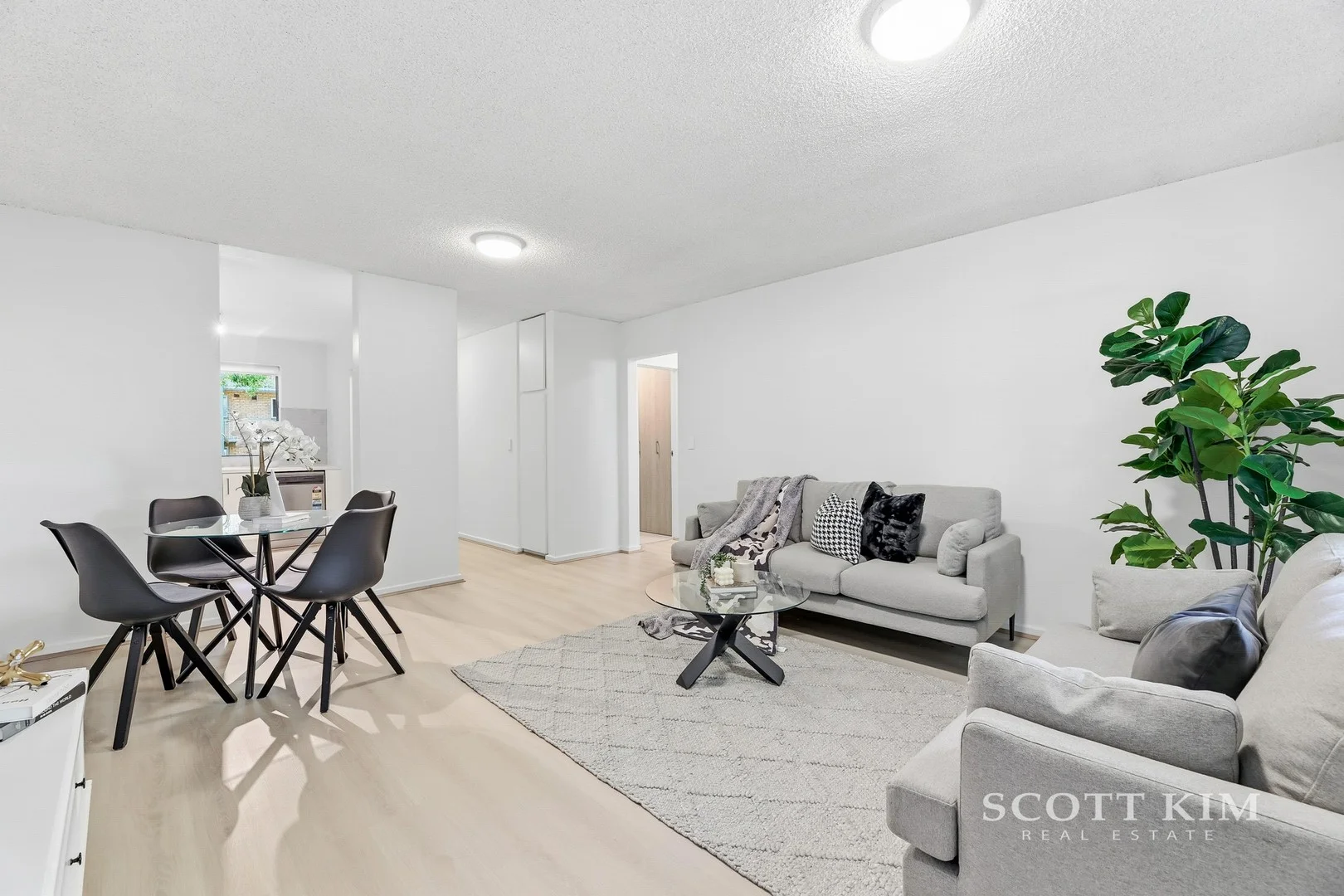 2/147 Curzon Street, North Melbourne VIC 3051
