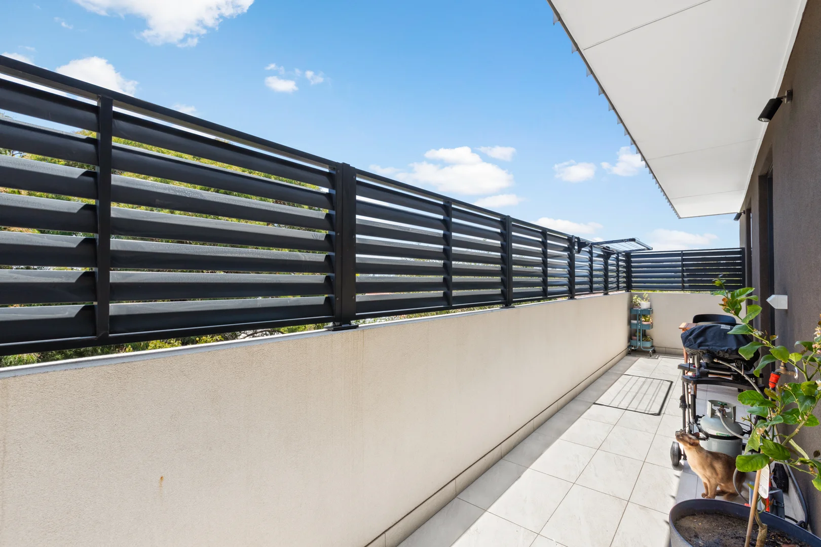 Additional image 7 of 205/92 Hawthorn Road, Caulfield North VIC 3161