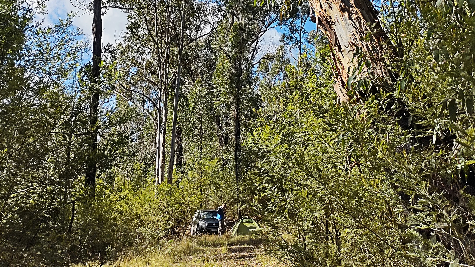 Additional image 4 of 307 Blomfield Road, Yarrowitch NSW 2354