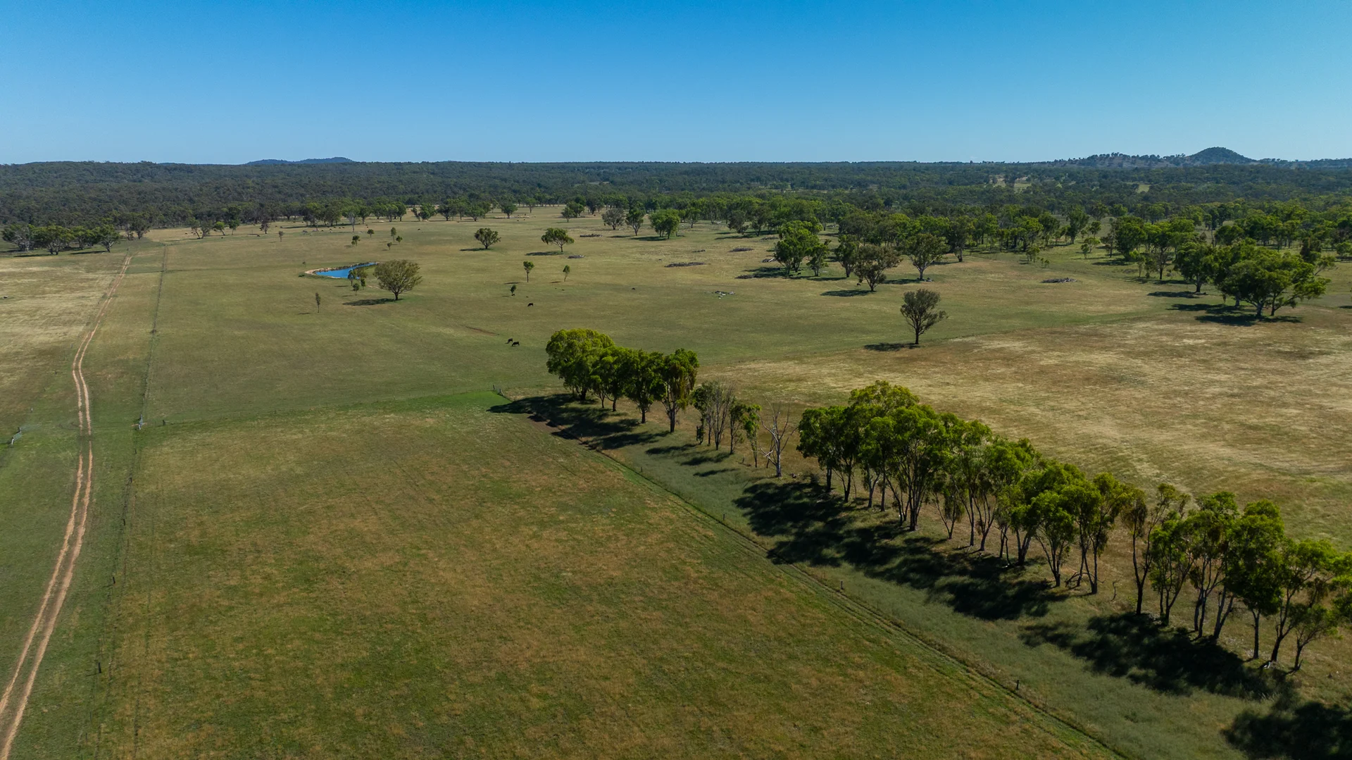 Additional image 29 of Inverell NSW 2360