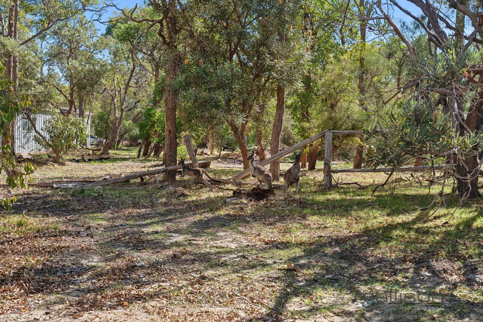 Additional image 22 of 112 Merrit Road, Parklands WA 6180