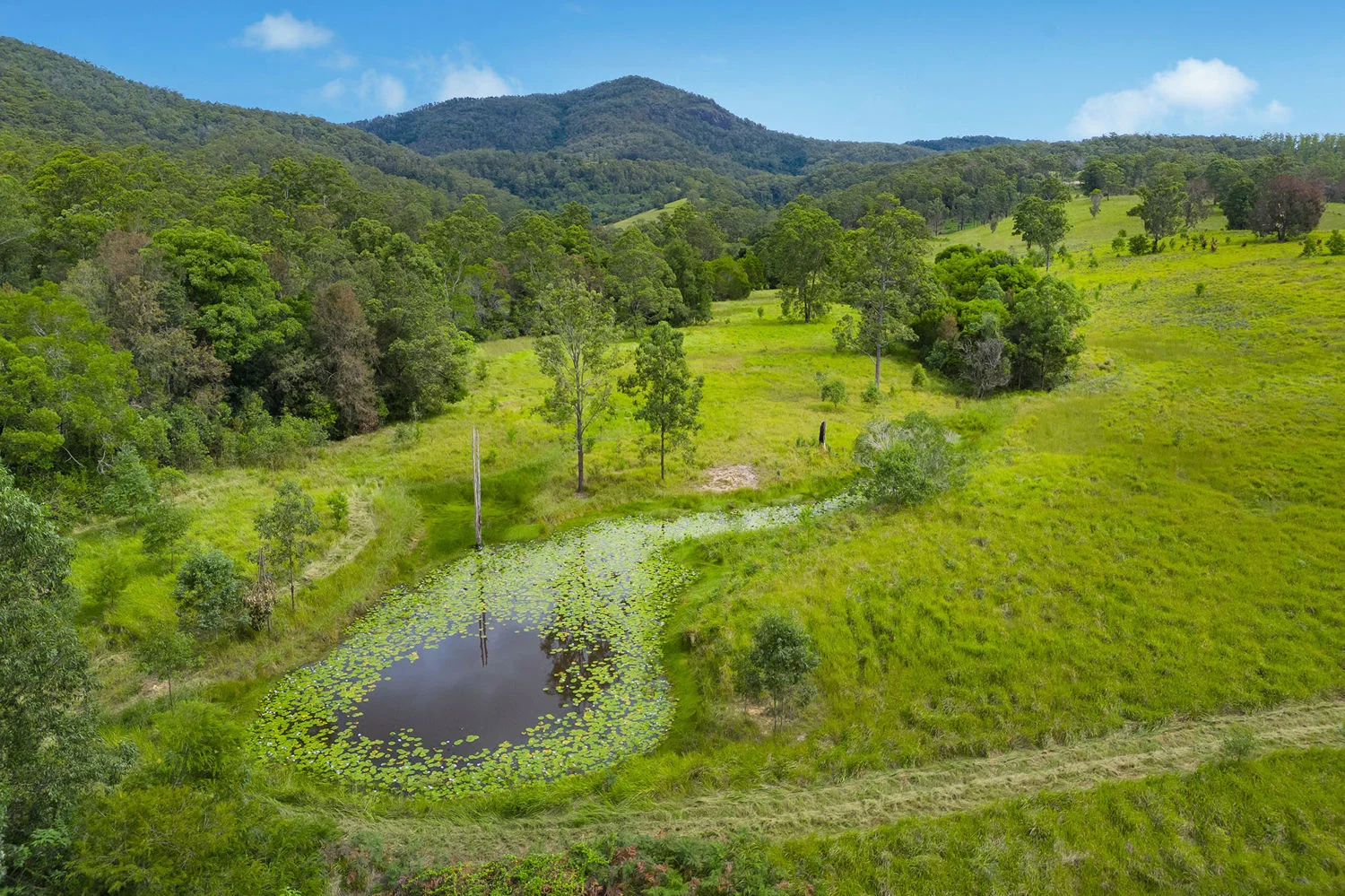 Additional image 2 of Lot 120/1085 Rollands Plains Road, Ballengarra NSW 2441