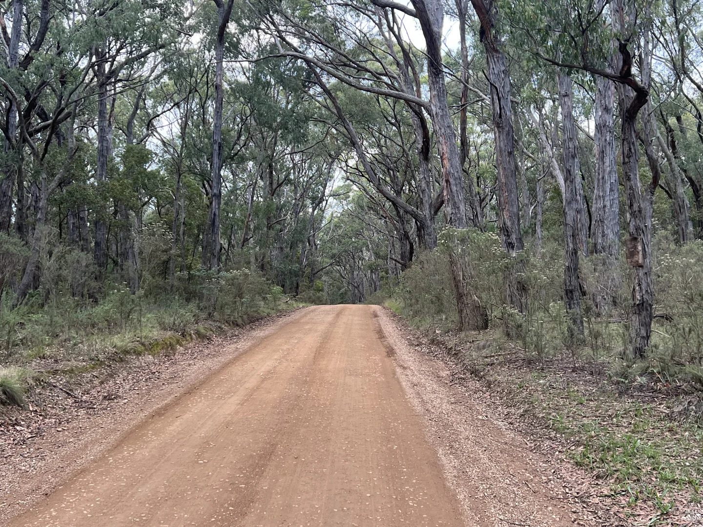 Additional image 12 of Lot 2 Forbes Road, Macedon VIC 3440