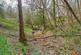 Additional image 26 of Magreed Lane, Broad Oak, TN21