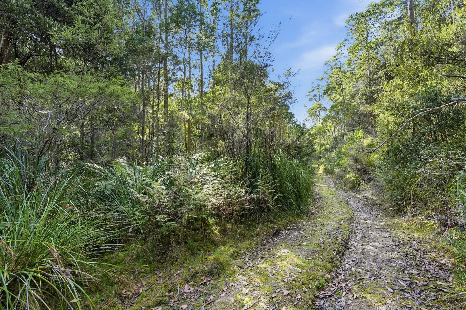 Additional image 9 of 111 Underwoods Road, Nicholls Rivulet TAS 7112