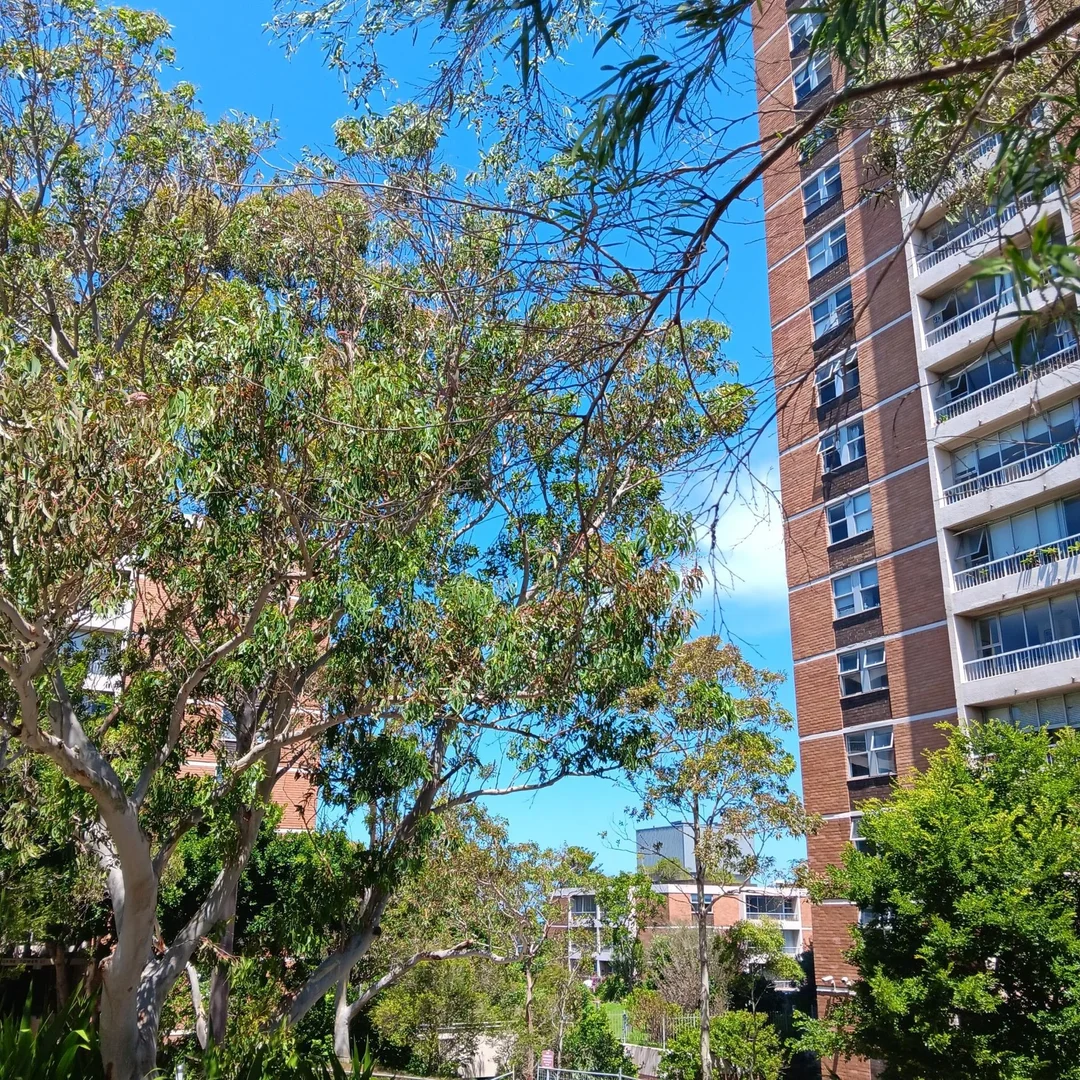 125/69 St Marks Road, Randwick NSW 2031 photo 3