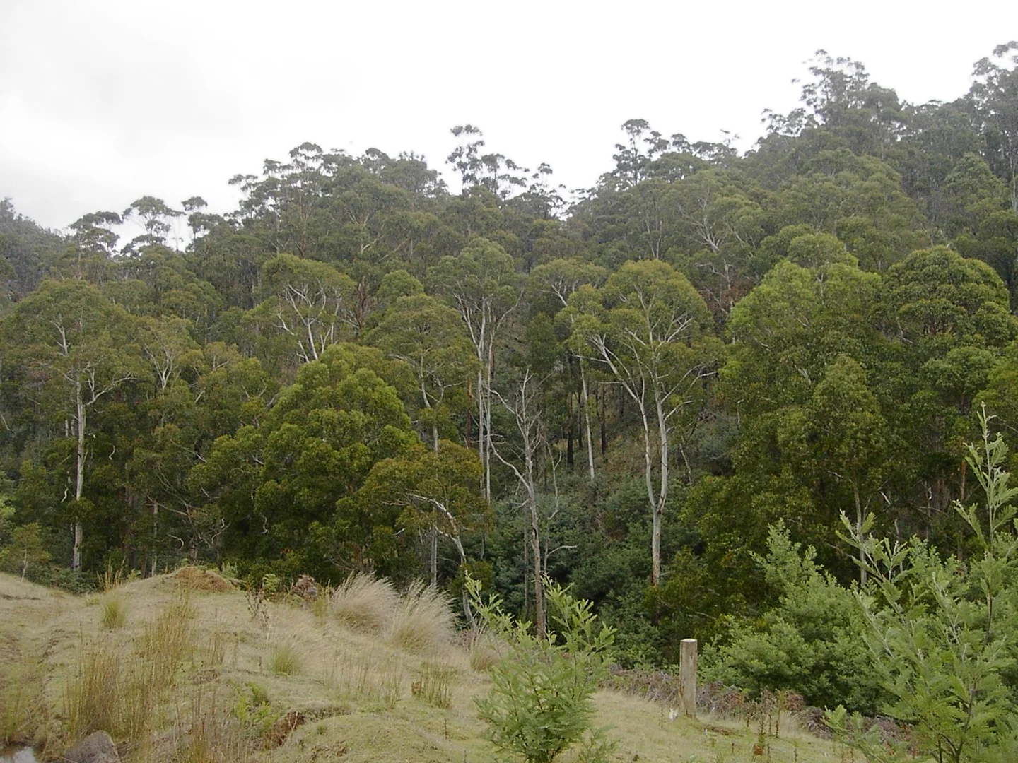 Additional image 12 of 420 Springhill Bottom Road, Colebrook TAS 7027