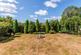 Additional image 16 of Rosehill Farm Meadow, Banstead