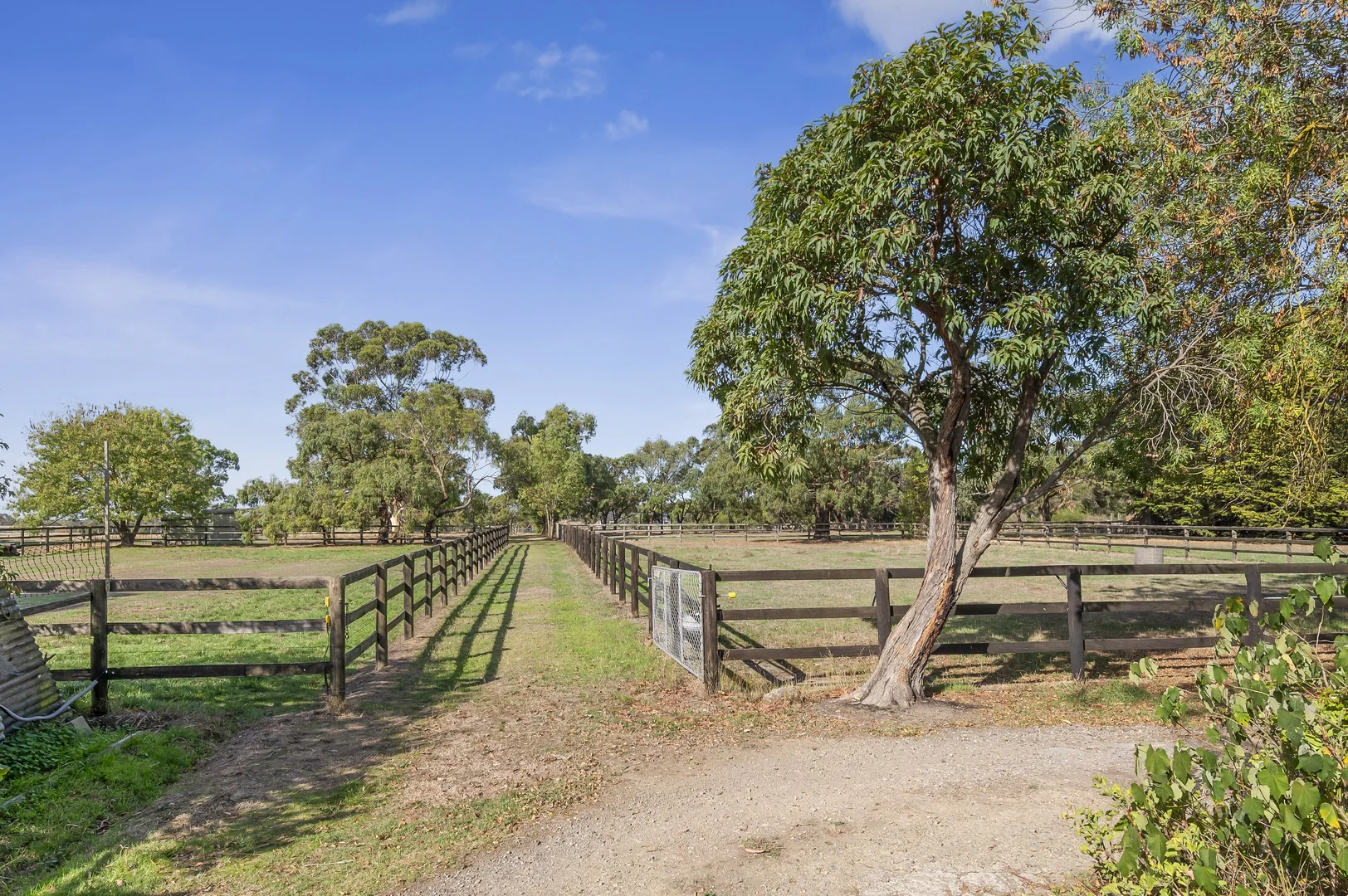 Additional image 5 of 1064 Stumpy Gully Road, Moorooduc VIC 3933