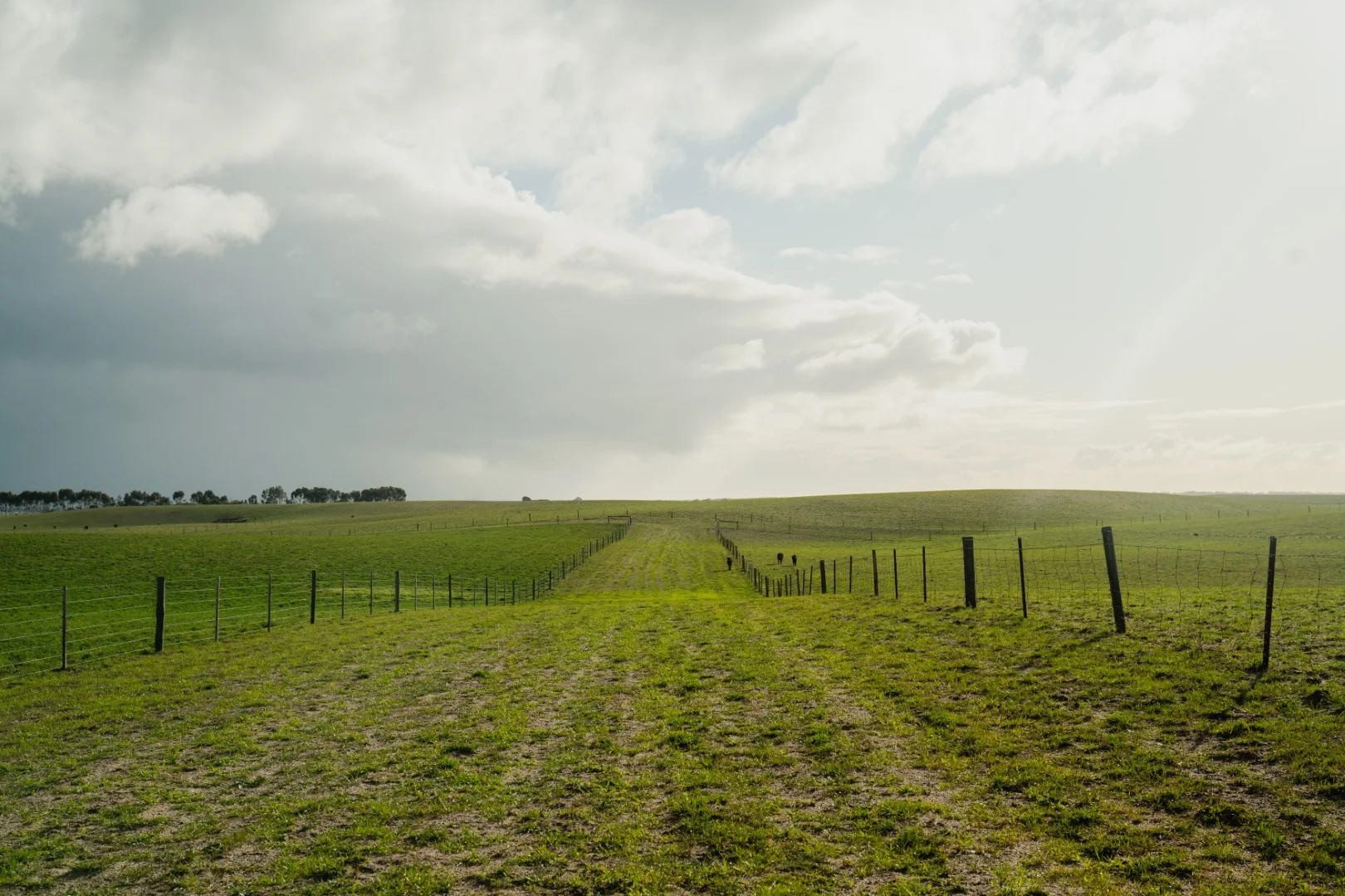 Additional image 3 of 565 Gordon Road, Meningie East SA 5264