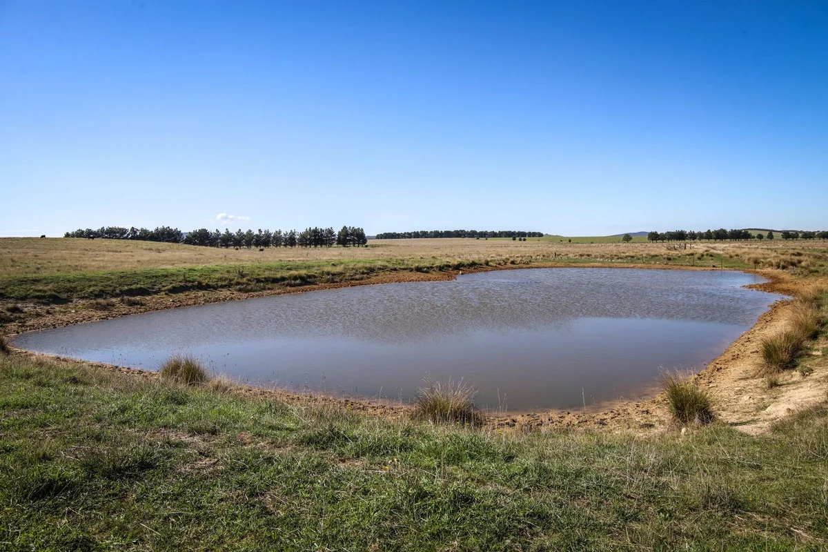 Additional image 6 of 1790 Braidwood Road, Tarago NSW 2580
