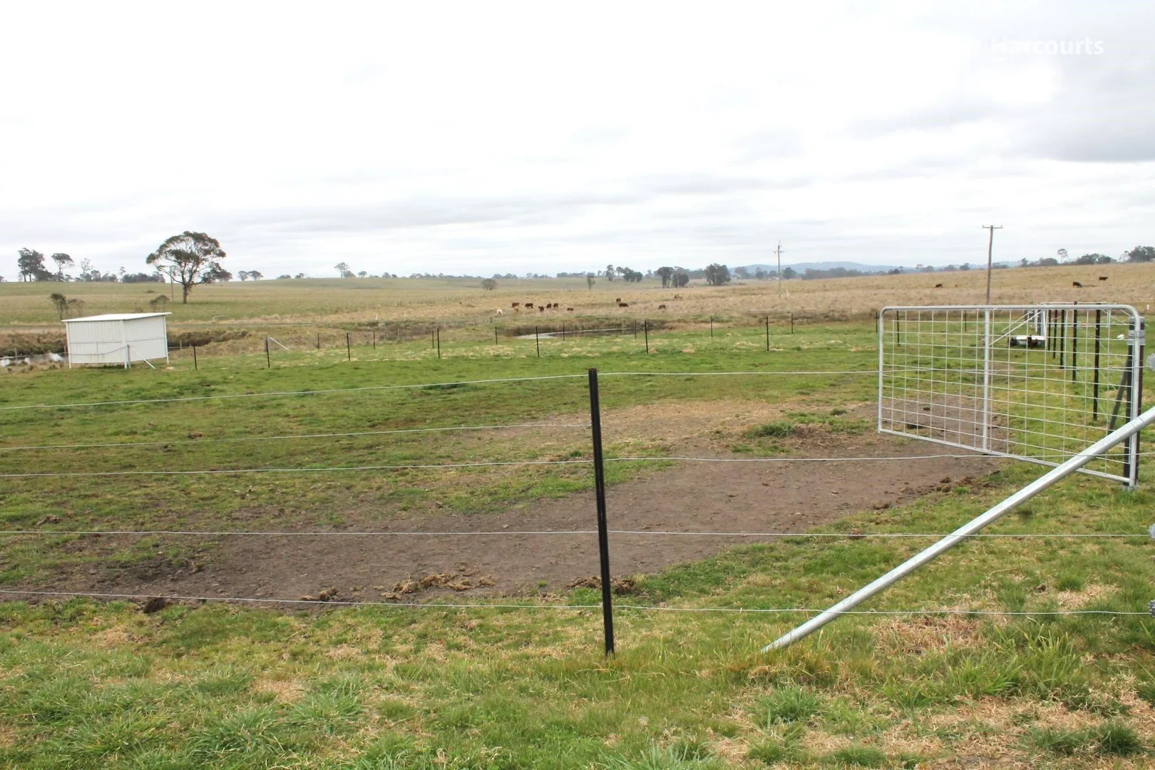 Additional image 5 of 1672 Red Range Road, Glen Innes NSW 2370