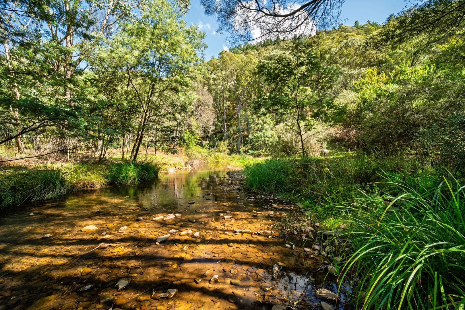 Additional image 10 of 828 Morses Creek Road, Wandiligong VIC 3744