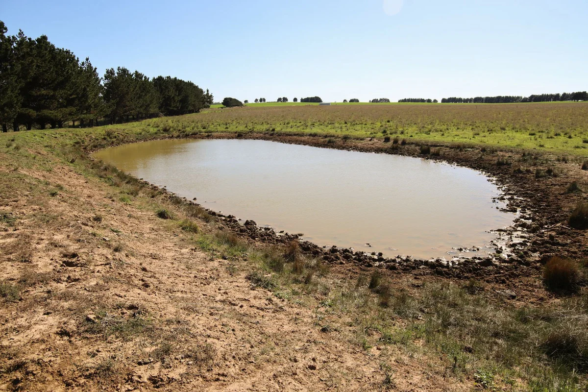 Additional image 11 of 1790 Braidwood Road, Tarago NSW 2580