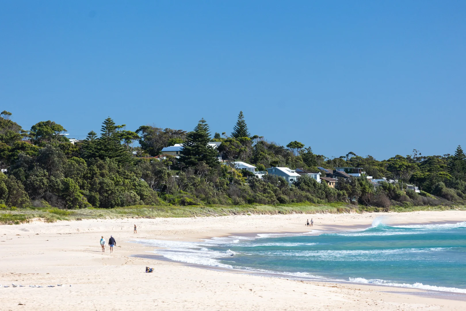 Additional image 5 of 24B Molloy Street, Mollymook NSW 2539
